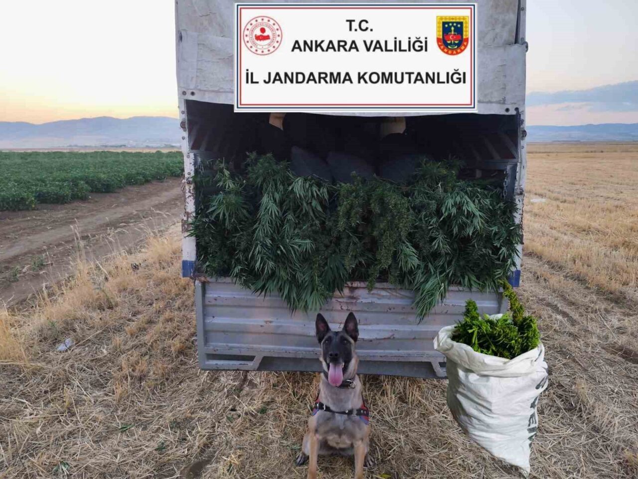 Başkent Ankara’da jandarma ekiplerinin düzenlediği yasaklı madde operasyonunda 2 kişi