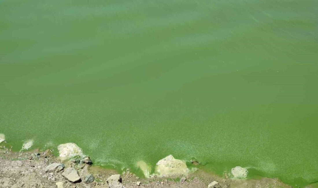 Ankara’da kuraklık ve mevsim normallerinin üzerinde seyreden sıcaklık nedeniyle baraj