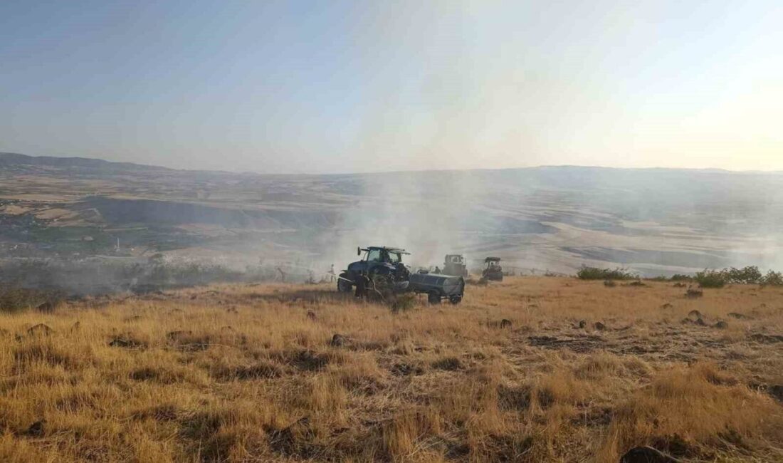 Ankara’nın Ayaş ilçesinde otluk alanda çıkan yangın söndürüldü.