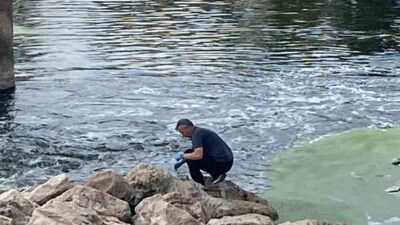 Sivas İl Tarım ve Orman Müdürlüğü’nden yapılan açıklamada, Sivas’ta görülen