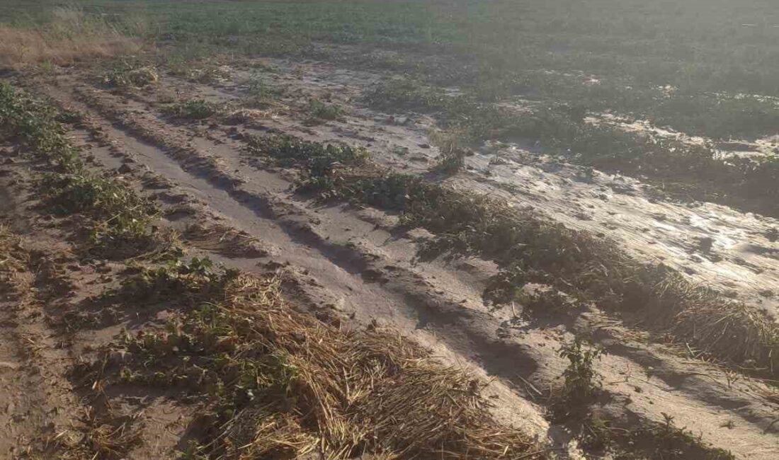 Ankara’nın Beypazarı ilçesinde dün akşam saatlerinde başlayan sağanak sonrası meydana
