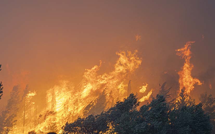 Ankara’nın Elmadağ ilçesinde müstakil bir evde yangın çıktı.