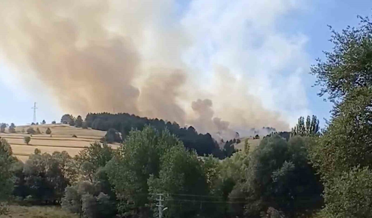 Çankırı’nın Atkaracalar ilçesinde ormanlık alanda yangın çıktı. Bölgeye sevk edilen