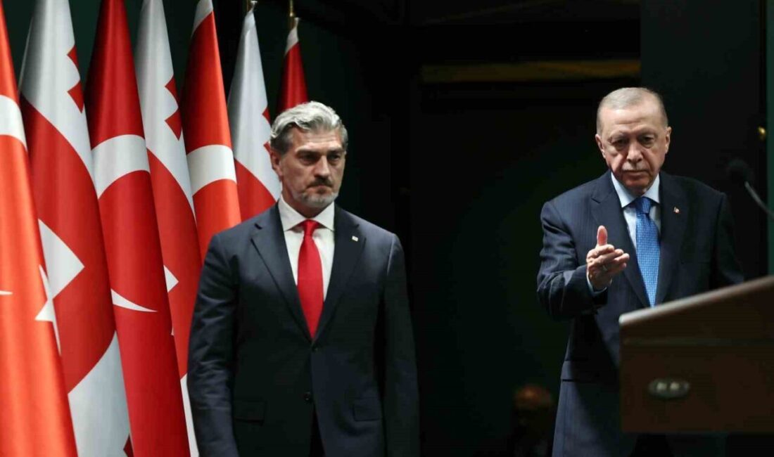 Cumhurbaşkanı Recep Tayyip Erdoğan, "Gürcistan ile 3 milyar dolar ticaret