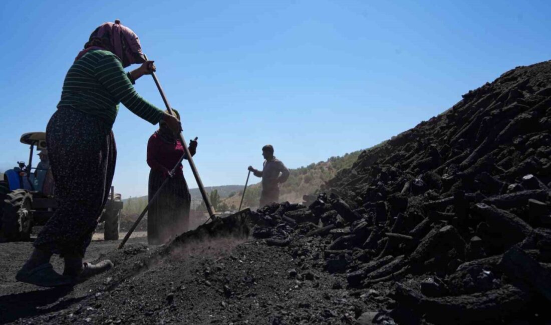 Mardin’den Ankara’nın Çubuk ilçesine gelen mevsimlik işçiler, yanan odun ateşinin