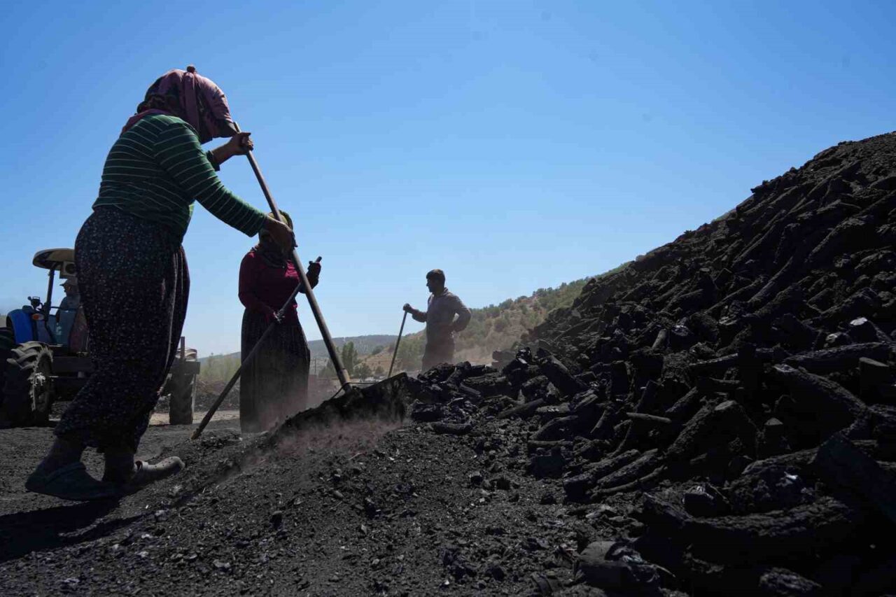 Mardin’den Ankara’nın Çubuk ilçesine gelen mevsimlik işçiler, yanan odun ateşinin