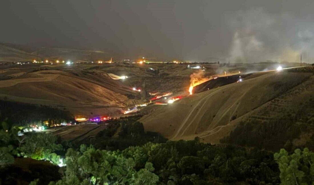 Başkent Ankara’nın Gölbaşı ilçesinde Eymir Gölü yakınlarındaki otluk alanda çıkan