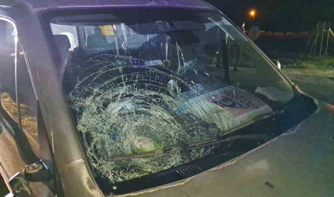 Karaman’da meydana gelen kazada, hafif ticari aracın çarptığı yaşlı kadın