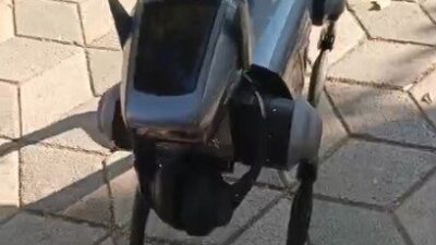 Eskişehir’de kent merkezinde sahibi tarafından dolaştırılan bir robot köpek vatandaşların