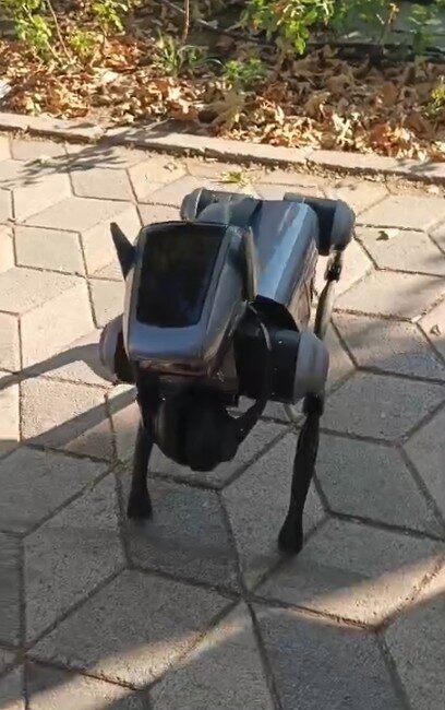 Eskişehir’de kent merkezinde sahibi tarafından dolaştırılan bir robot köpek vatandaşların