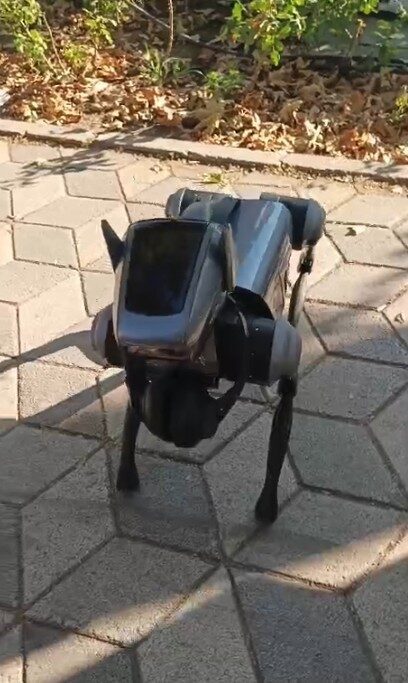 Eskişehir’de kent merkezinde sahibi tarafından dolaştırılan bir robot köpek vatandaşların