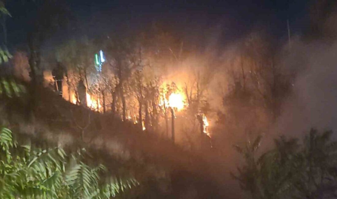 Kırıkkale’de oturma parkındaki ağaçlık alanda çıkan yangın, itfaiye ekiplerince kısa