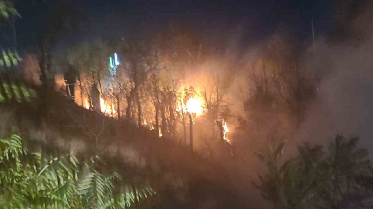 Kırıkkale’de oturma parkındaki ağaçlık alanda çıkan yangın, itfaiye ekiplerince kısa