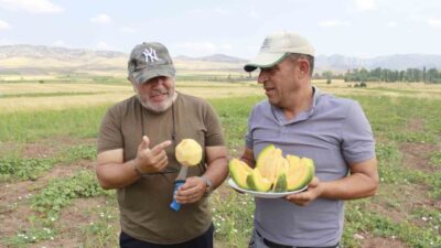 Yozgat’ın Aydıncık ilçesinde halk arasında ‘yer muzu’ diye adlandırılan ve