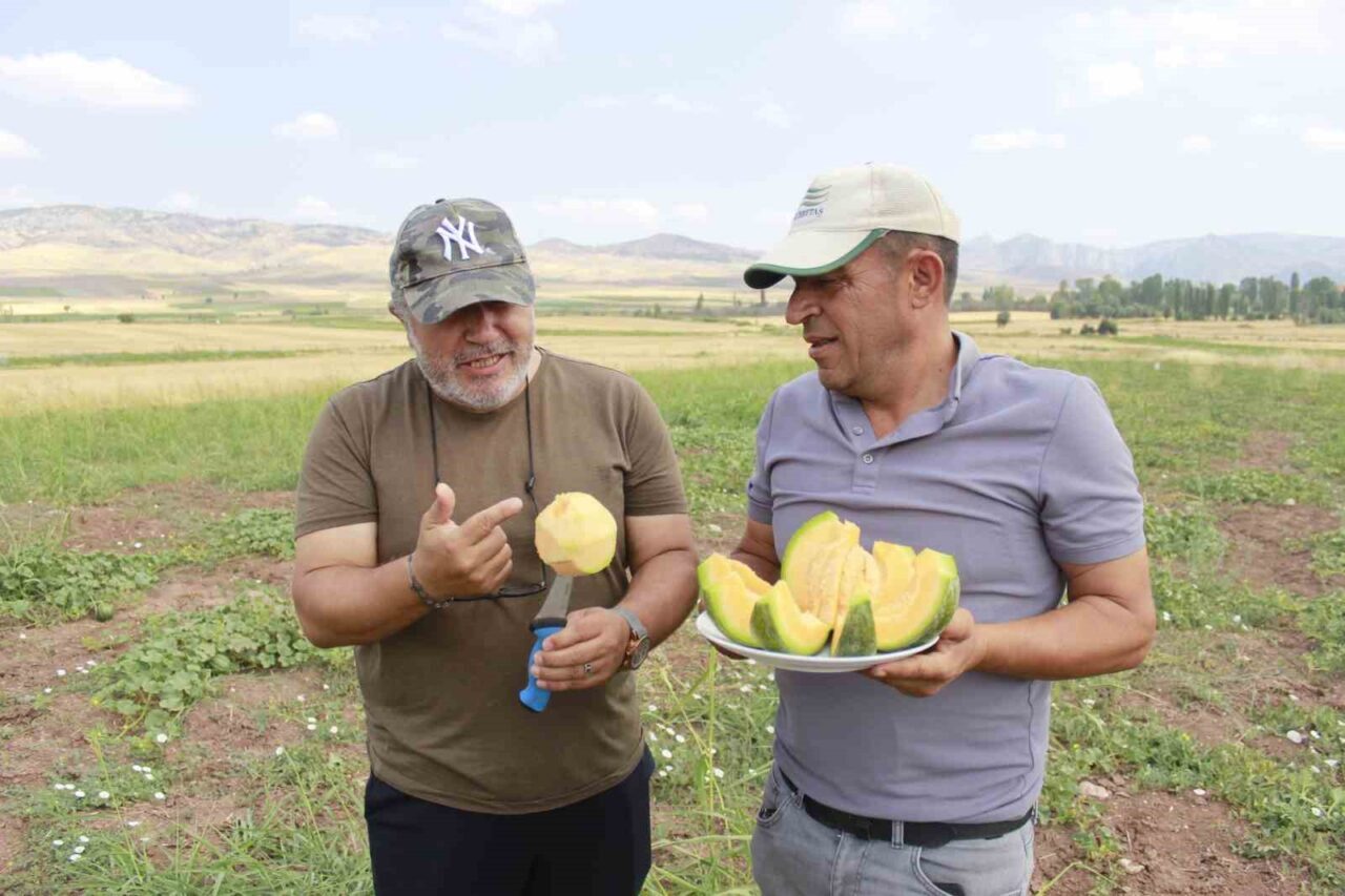 Yozgat’ın Aydıncık ilçesinde halk arasında ‘yer muzu’ diye adlandırılan ve