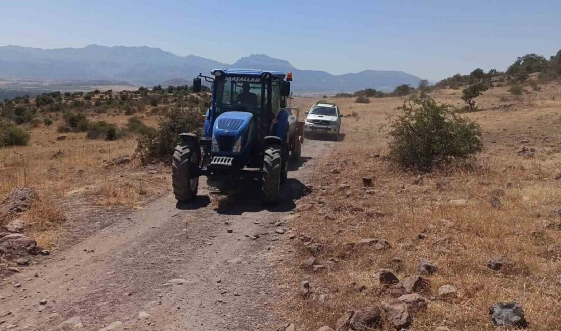 Konya’nın Seydişehir ilçesinde ormanlık alanda çıkan yangın paniğe neden oldu.