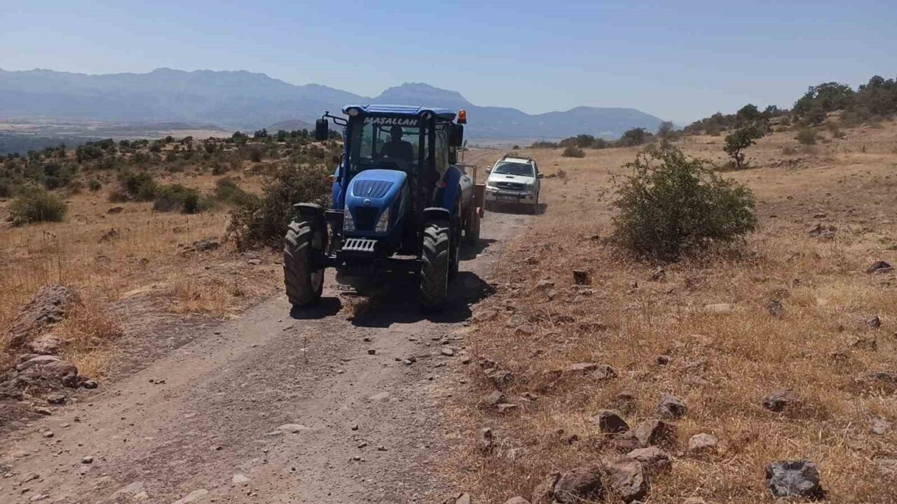 Konya’nın Seydişehir ilçesinde ormanlık alanda çıkan yangın paniğe neden oldu.