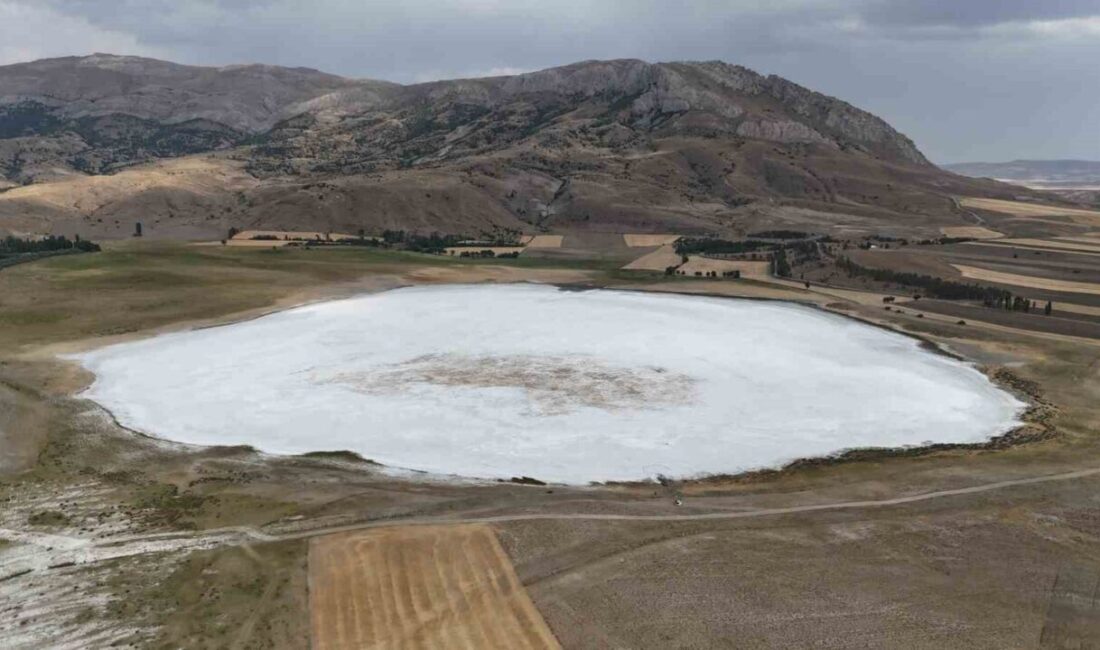 Sivas’ın Ulaş ilçesinde bulunan ve su tuttuğunda göçmen kuşlara ev