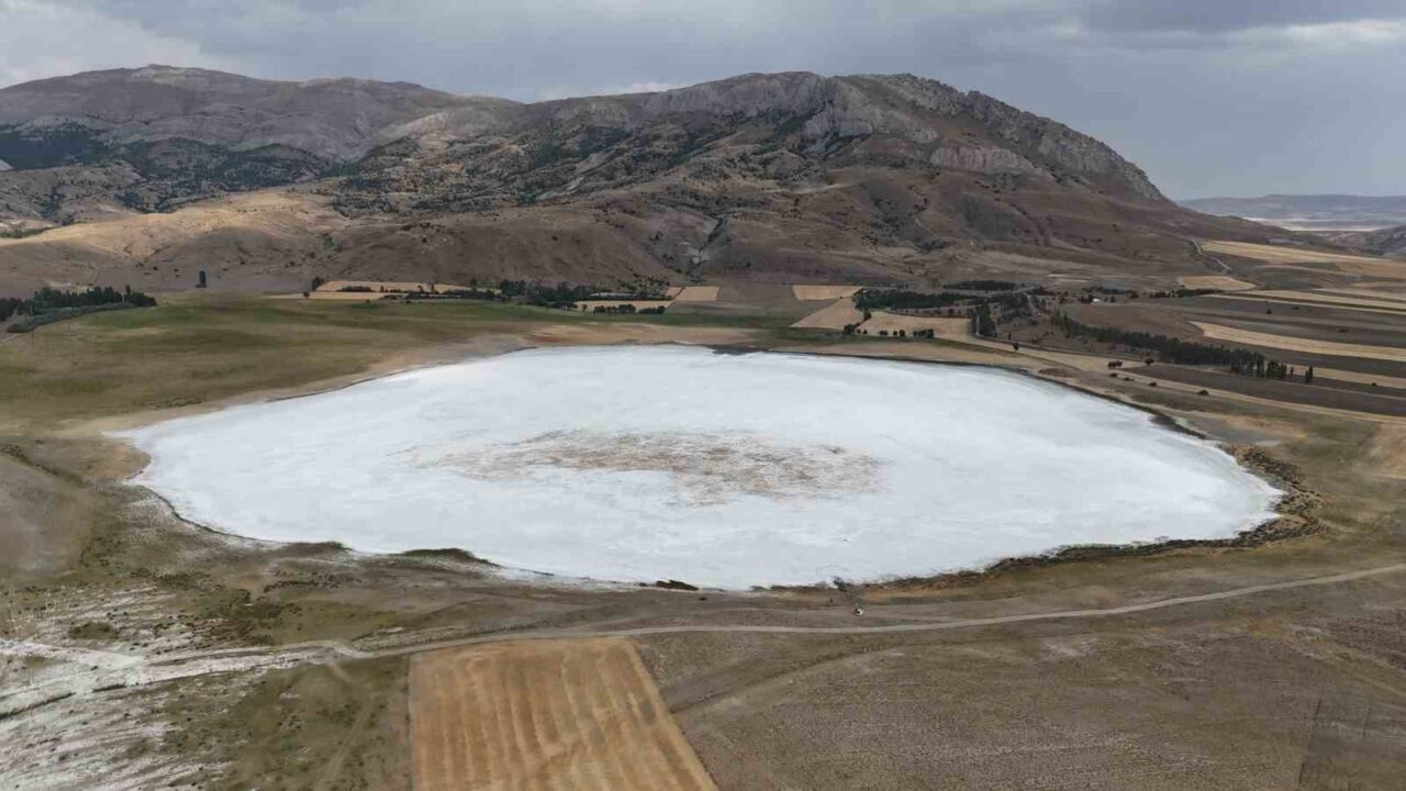 Sivas’ın Ulaş ilçesinde bulunan ve su tuttuğunda göçmen kuşlara ev