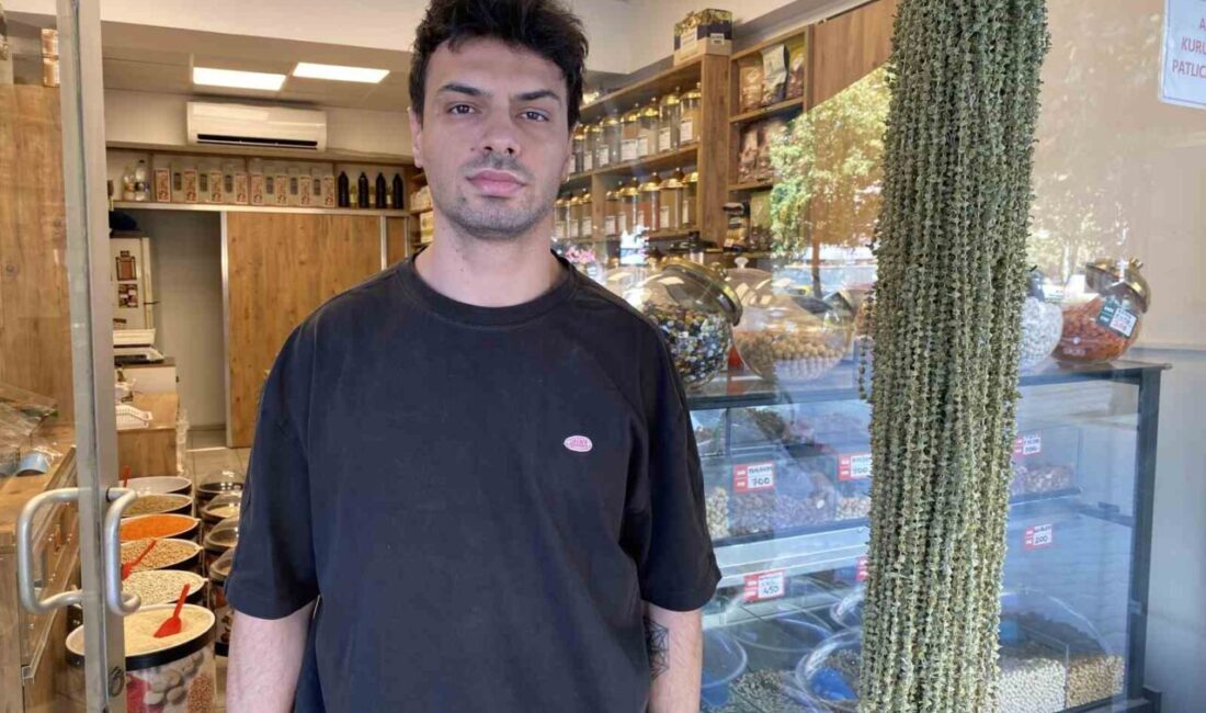 Eskişehirli aktar Oğuzhan Sever, fiyatı gram altınla yarışan çiçek bamya