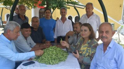 Cumhuriyet Halk Partisi'nin (CHP) saha çalışmaları kapsamında Osmaniye'ye giden CHP