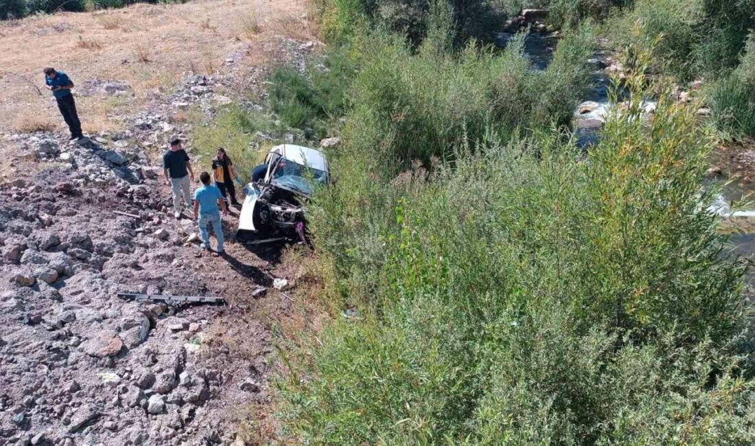 Sivas’ta bir otomobil dere yatağına uçtu, araçtaki yaşlı çift hayatını