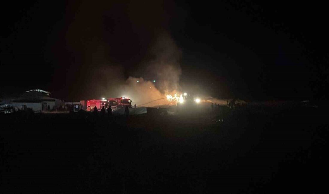 Sivas’ta İnceağaç köyünde samanlıkta çıkan yangın kısa sürede yayılarak 6