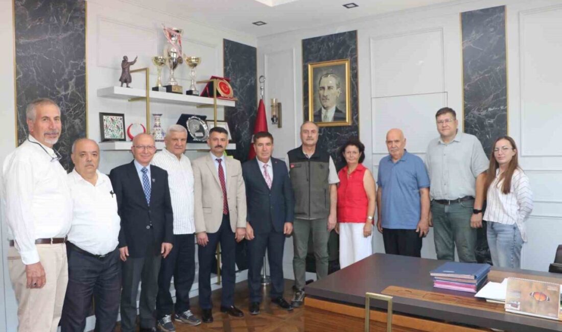 Eskişehir'in Seyitgazi ilçesinde yanan ormanların yerine, hazırlanacak projeler ve yapılacak