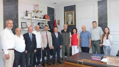 Eskişehir'in Seyitgazi ilçesinde yanan ormanların yerine, hazırlanacak projeler ve yapılacak