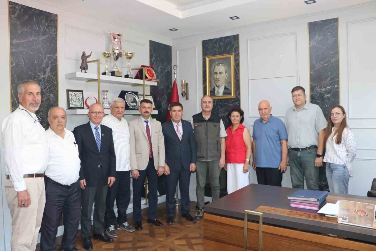 Eskişehir'in Seyitgazi ilçesinde yanan ormanların yerine, hazırlanacak projeler ve yapılacak