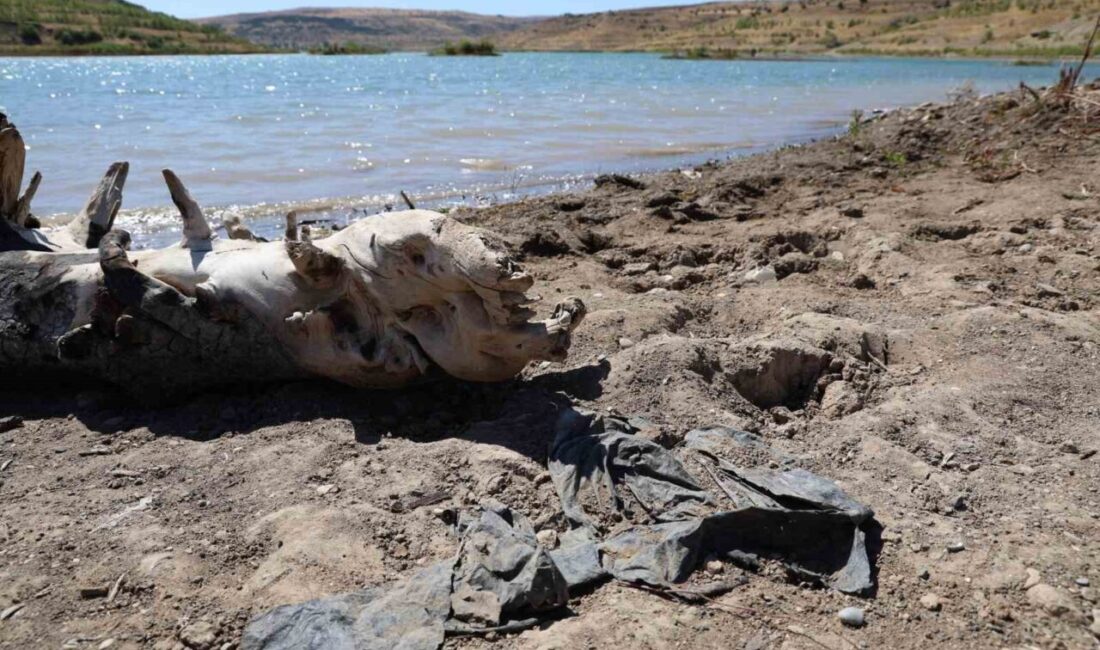 Sivas’ın önemli su kaynaklarından biri olan 4 Eylül barajında kuraklığın