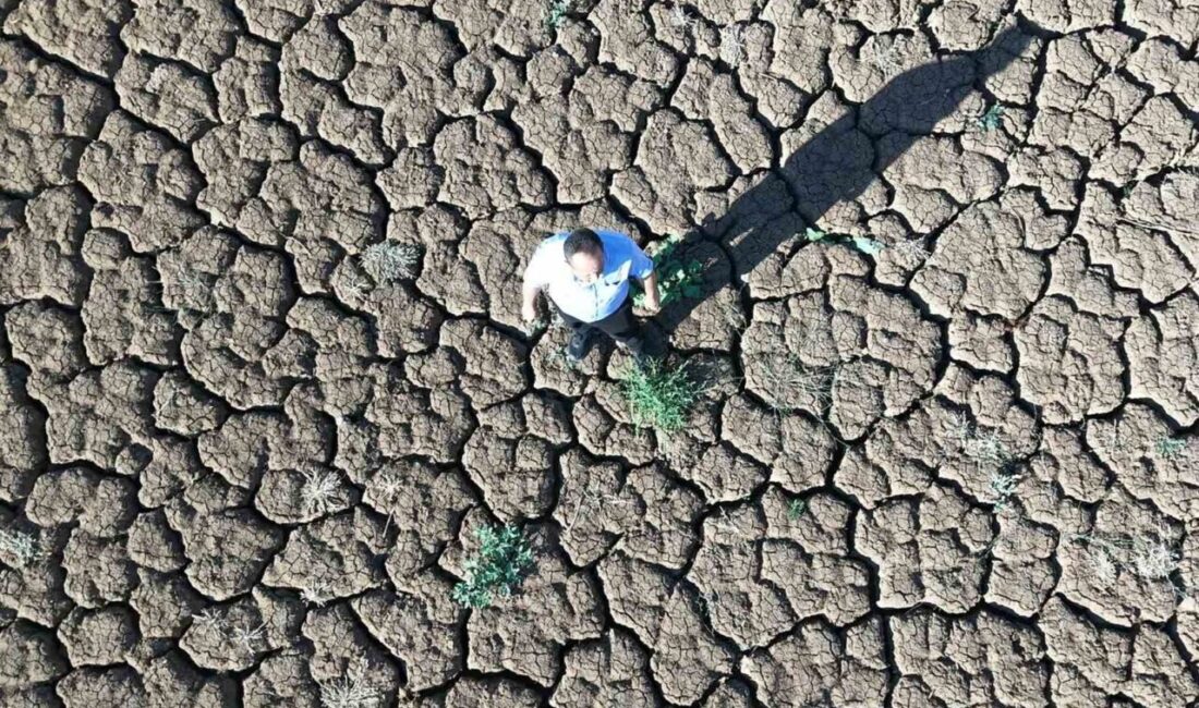 Kırıkkale’nin Ahılı köyünde tarım arazilerini besleyen gölet tamamen kuruyarak çatlaklarla