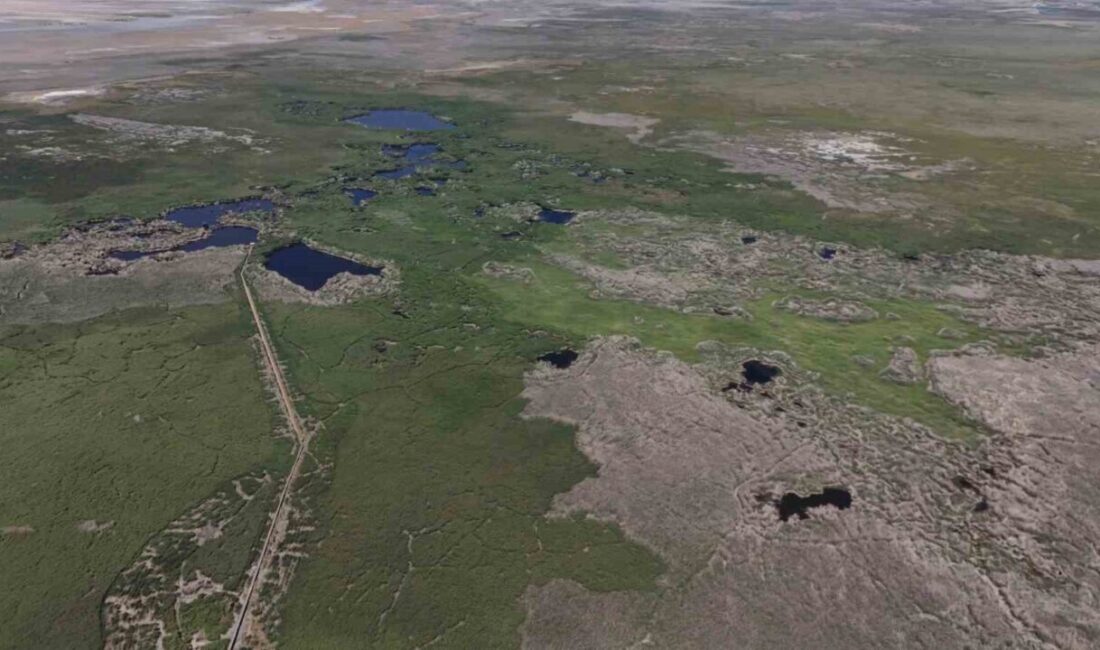 Kayseri’de Develi, Yeşilhisar ve Yahyalı ilçe sınırları içerisinde bulunan; Avrupa