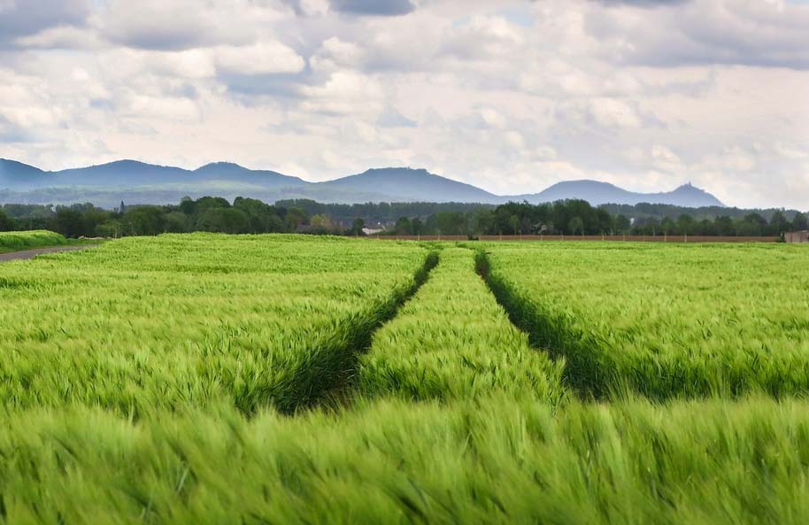 Tarım ve Orman Bakanlığı, iki yıl üst üste ekilmeyen tarım