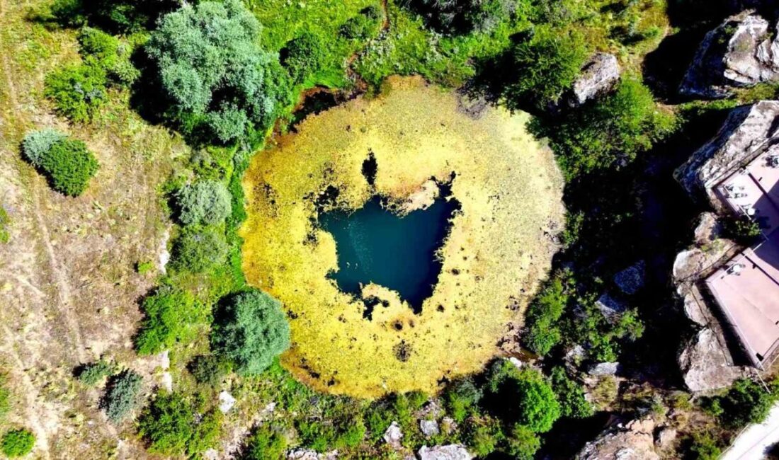 Doğa Koruma ve Milli Parklar Genel Müdürlüğü tarafından tabiat parkı