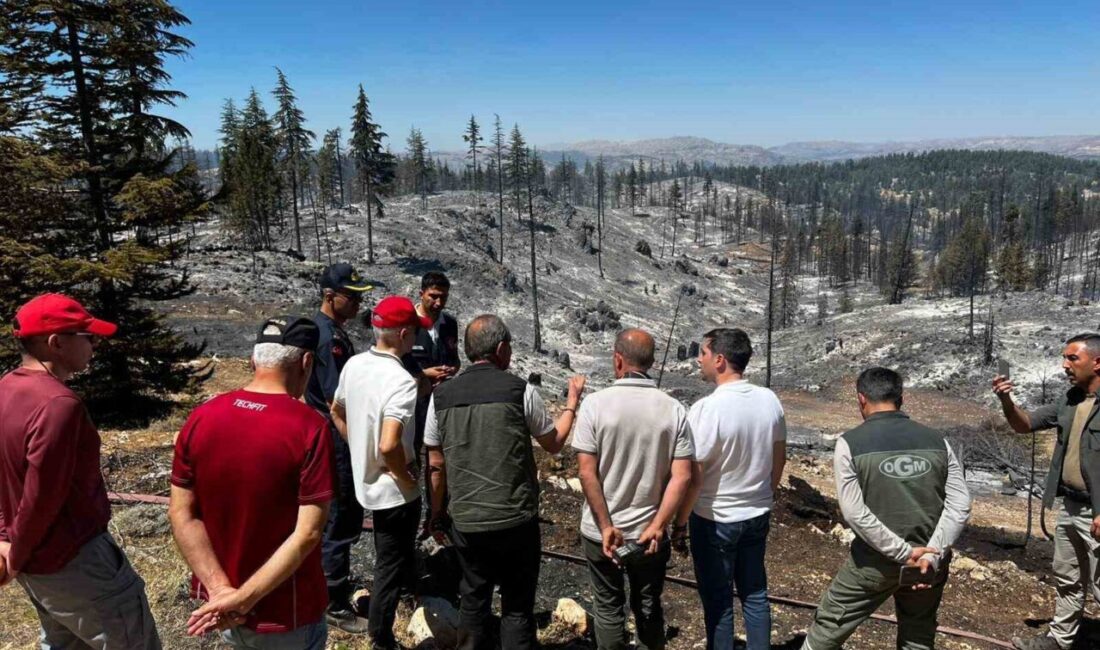 Karaman Valisi Mehmet Fatih Çiçekli, dün öğle saatlerinde çıkan orman