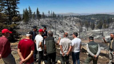 Karaman Valisi Mehmet Fatih Çiçekli, dün öğle saatlerinde çıkan orman