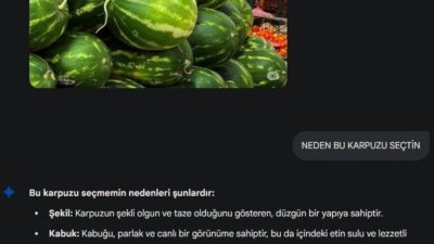 Her geçen gün kullanımı artan yapay zeka, pazarda karpuz seçiminde