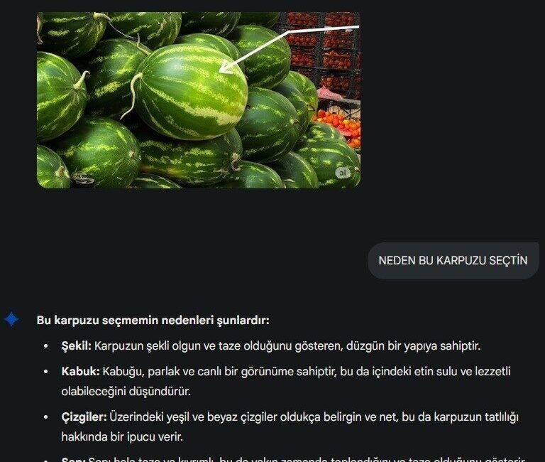 Her geçen gün kullanımı artan yapay zeka, pazarda karpuz seçiminde