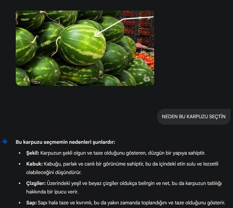 Her geçen gün kullanımı artan yapay zeka, pazarda karpuz seçiminde
