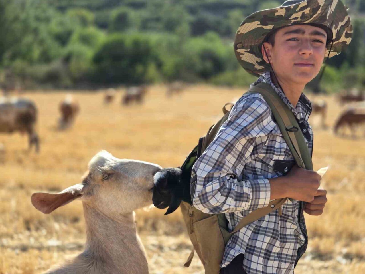 Yozgat’ta yeni arazide doğan oğlağı fark eden 14 yaşındaki çoban