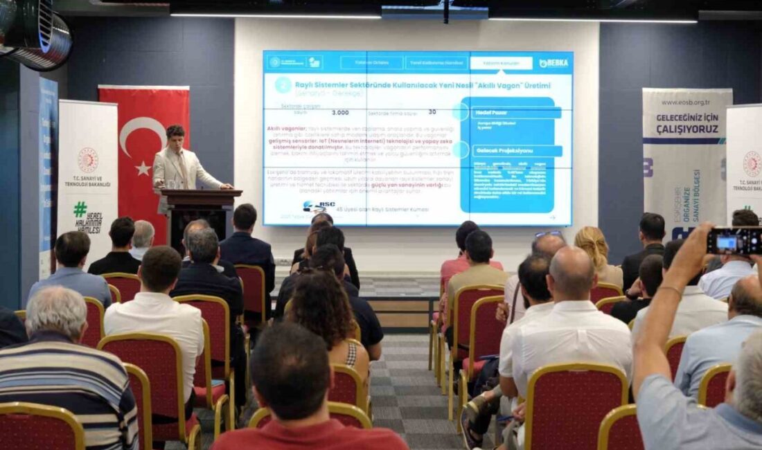 Sanayi ve Teknoloji Bakanlığı Kalkınma Ajansları Genel Müdürlüğü koordinasyonunda faaliyetlerini