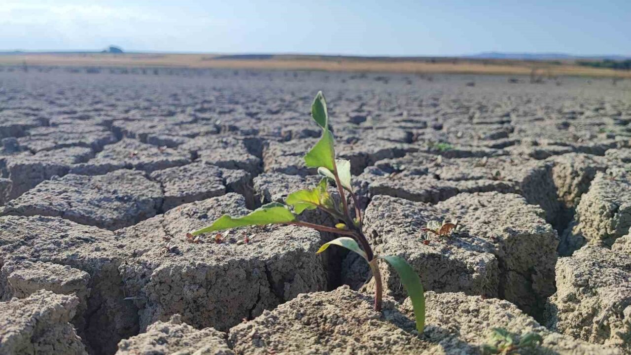 Yozgat’ın önemli su kaynaklarından Gelingüllü Barajı’nda su seviyesi geçtiğimiz yıllara