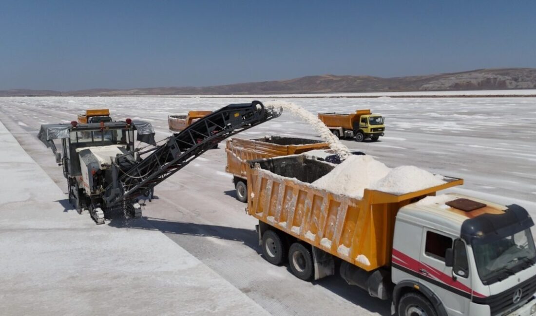 Türkiye’nin en geniş tuz yataklarına sahip Tuz Gölü’nde mikroplastik atıklara