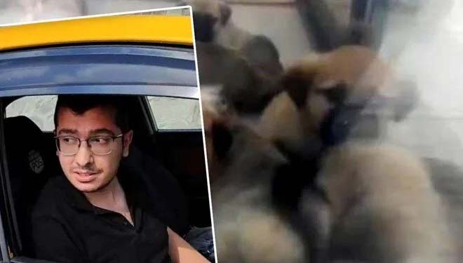 Ankara’nın Etimesgut ilçesine bağlı Bağlıca Mahallesi’nde sahiplendiği sokak köpeklerini öldürdüğü