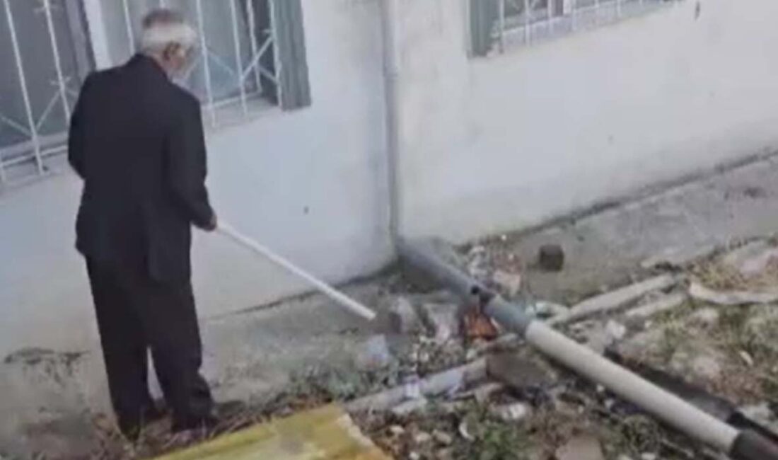 Ankara’nın Haymana ilçesinde bulunan bir binanın bahçesinde görülen yılan paniğe