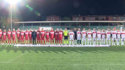 Aile ve Sosyal Hizmetler Bakanlığı ve Gençlik ve Spor Bakanlığınca,