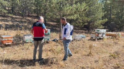 Konya’nın Beyşehir ilçesinde arılı kovan tespit ve sayım çalışmaları yapılıyor.