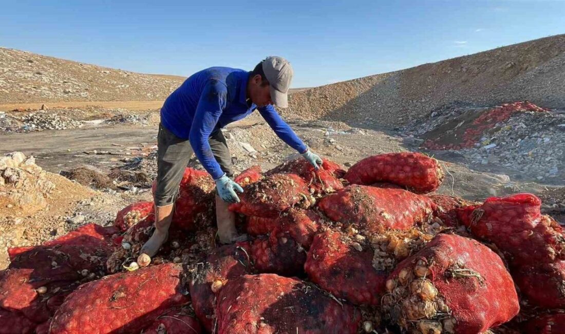 Karaman’da taş ocakları mevkiindeki boş araziye bir kısmı çürümüş tonlarca