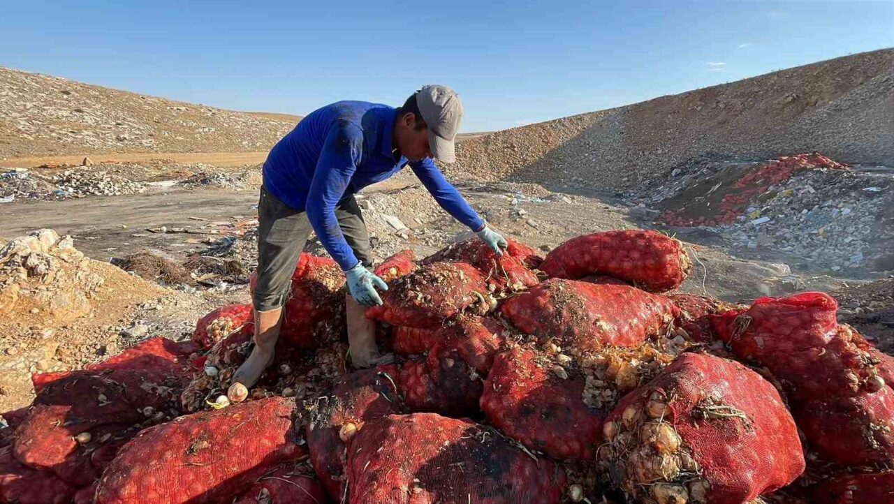 Karaman’da taş ocakları mevkiindeki boş araziye bir kısmı çürümüş tonlarca